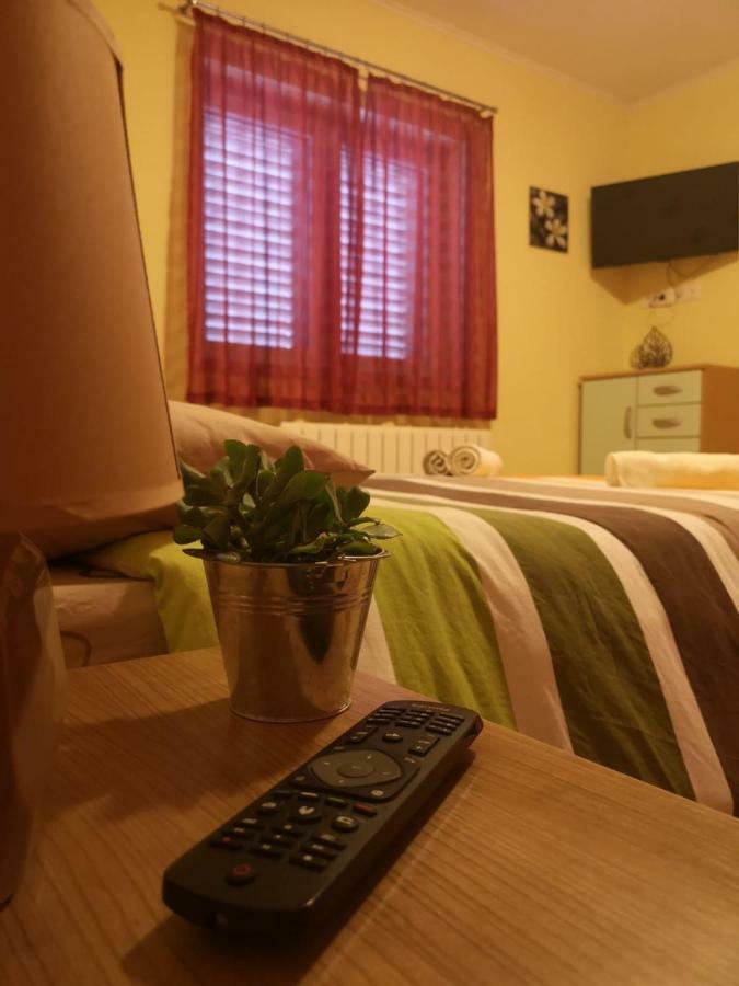 Apartment Roza